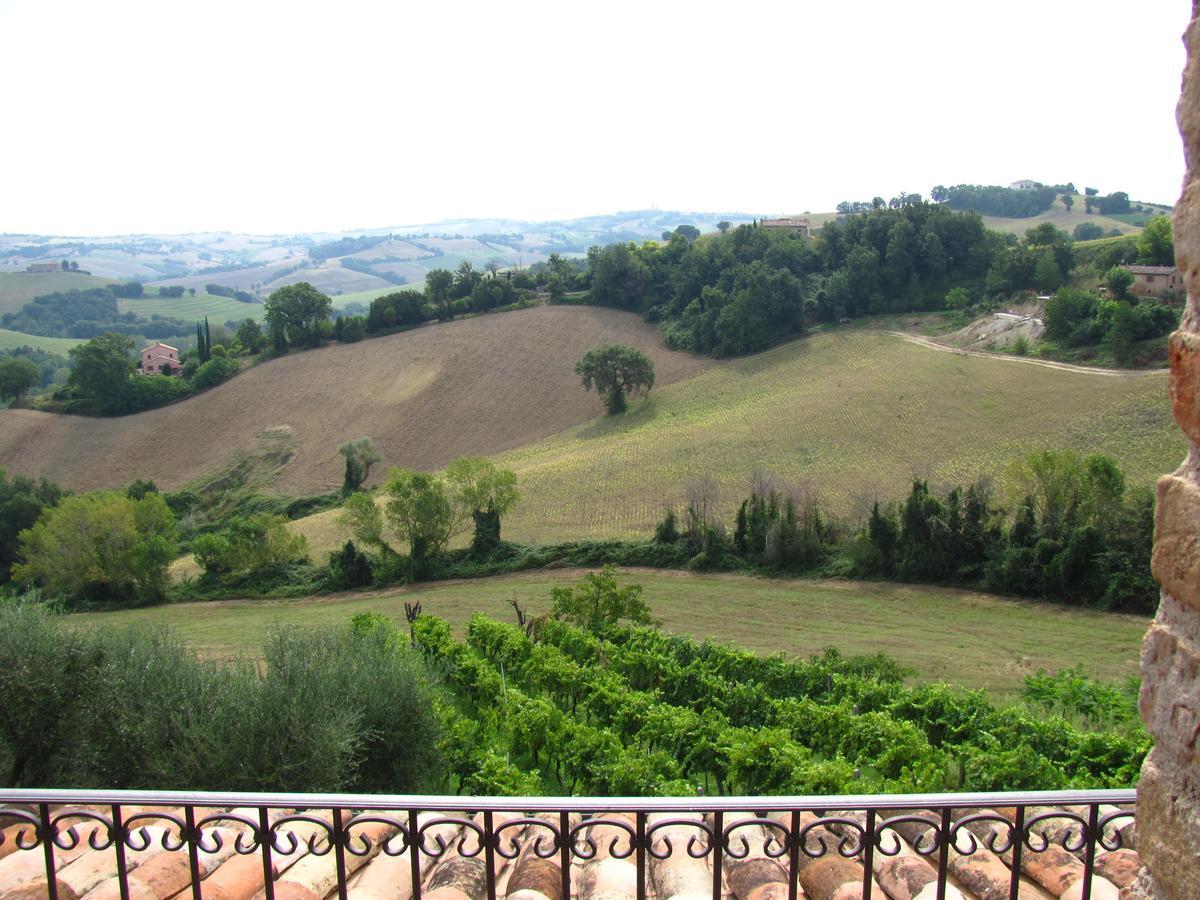 Agriturismo Bacchiocchi Bed and Breakfast Orciano di Pesaro Zewnętrze zdjęcie